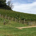 High Country Wineries - Linville Valls