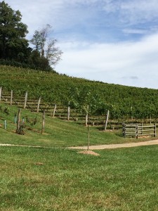 High Country Wineries - Linville Valls