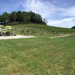 High Country Wineries - Linville Fals