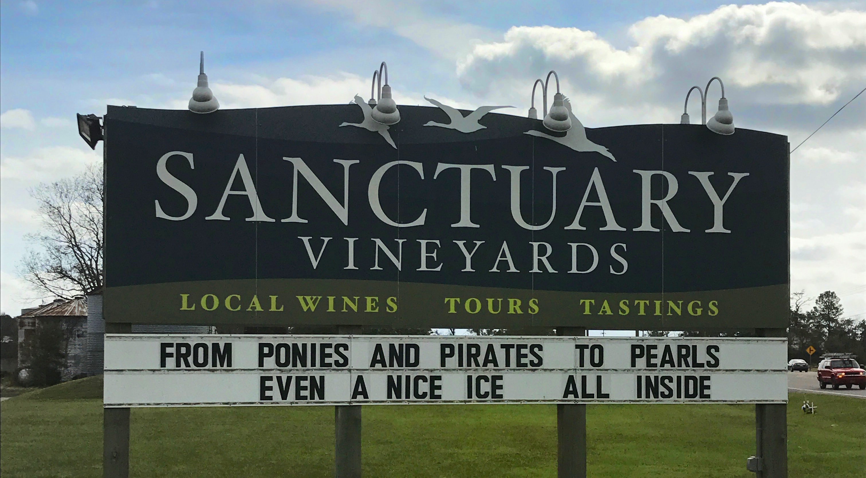 Sanctuary Vineyards: Making #NCWine in the Outer Banks