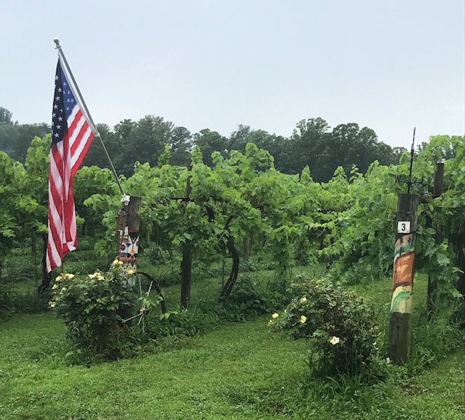 Vineyards outside Saint Paul Mountain's Tasting Room