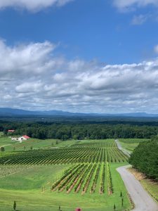 View of the Blue Ridge Mountains from Piccione Vineyards - Ronda, NC