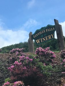 Linville Falls Winery - Linville Falls, NC