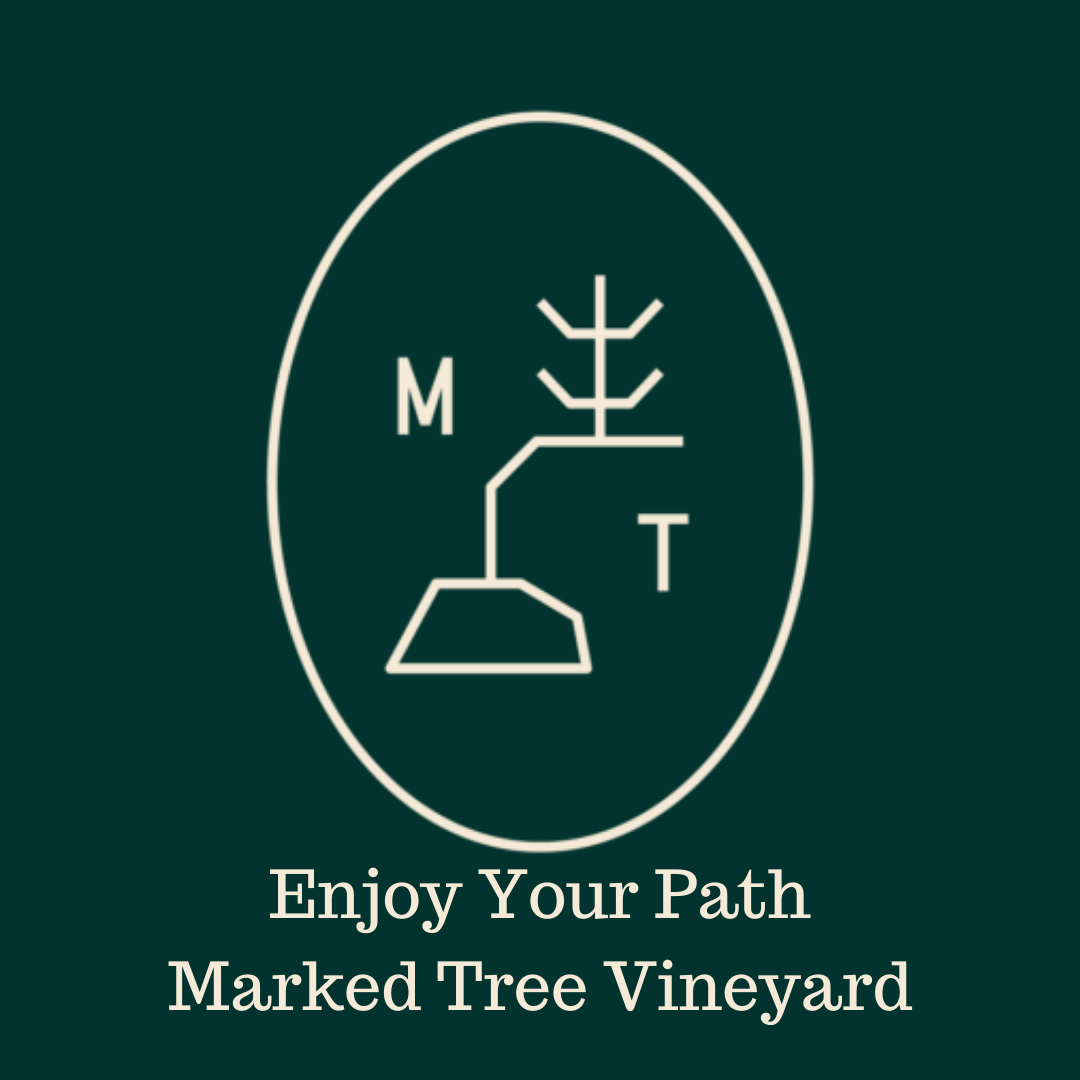 the Marked Tree logo is a depiction of a sapling that has been bent at a 90 degree angle to point in a certain direction.