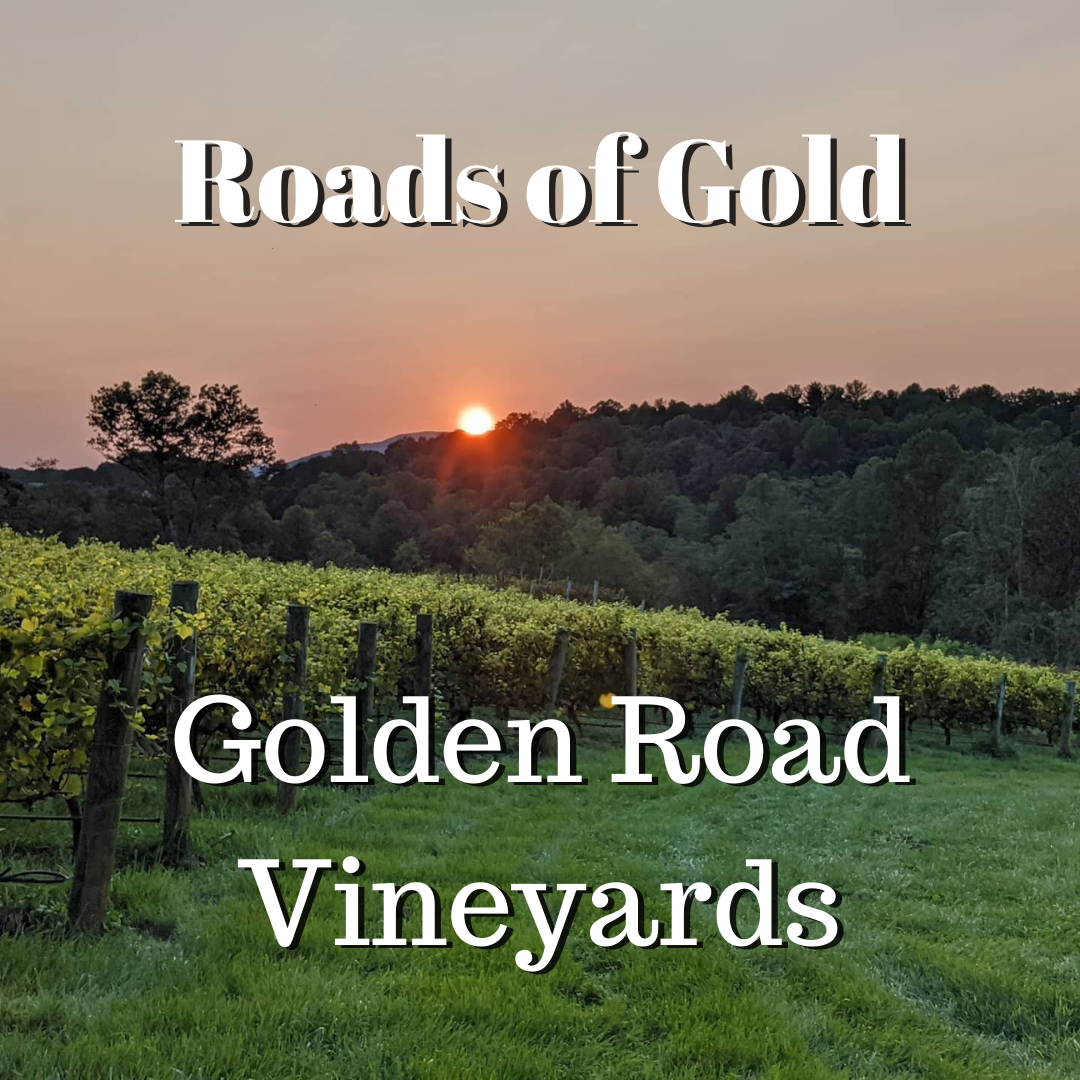 A picture of rolling hills, a vineyard and a sunset with Golden Road Vineyards written on top.