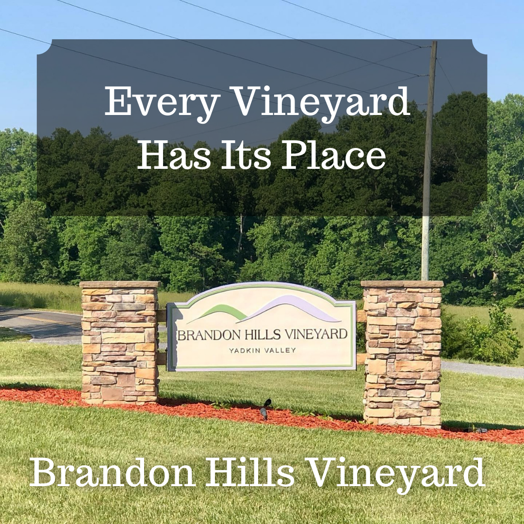 Every Vineyard Has Its Place