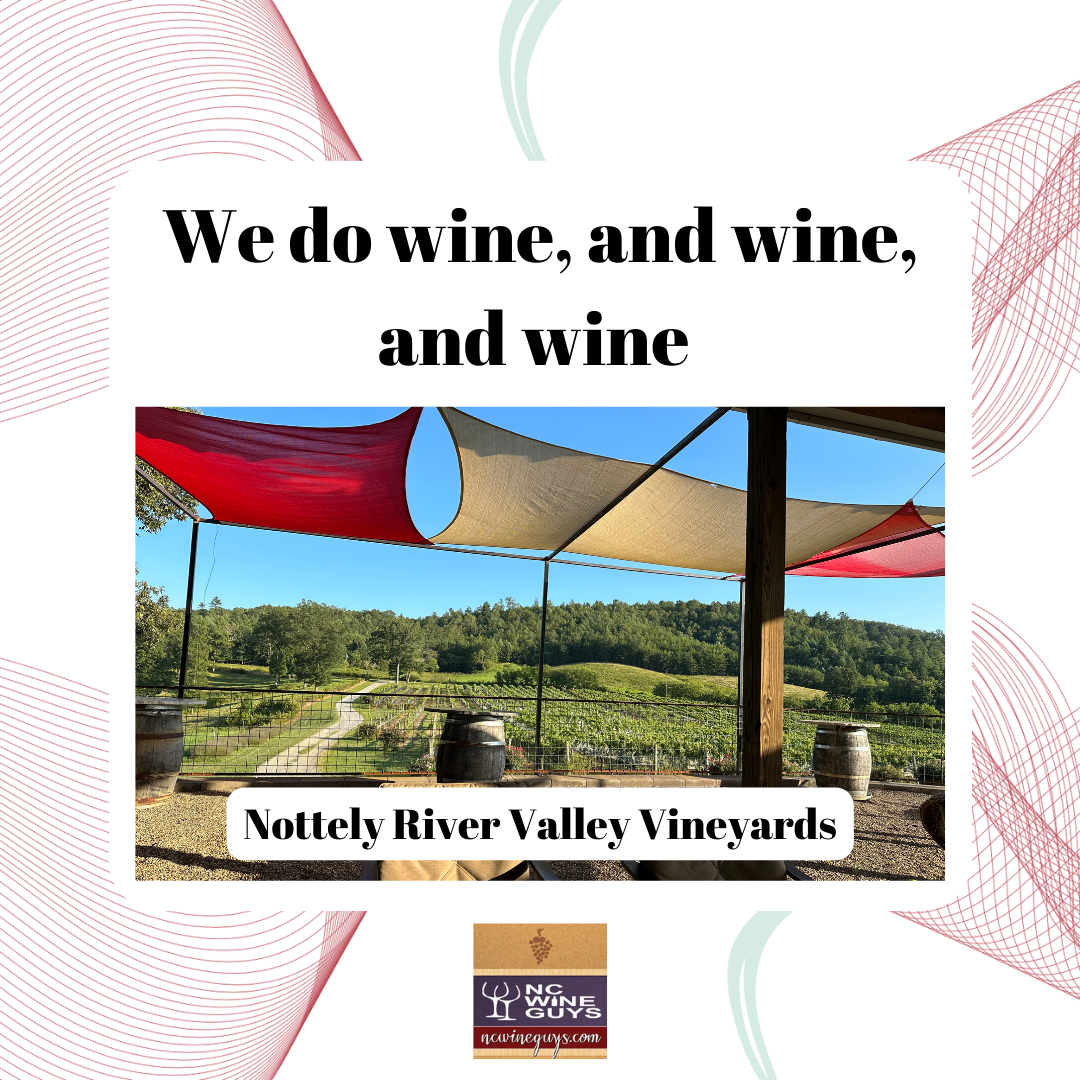 We do wine, and wine, and wine – Nottely River Valley Vineyards