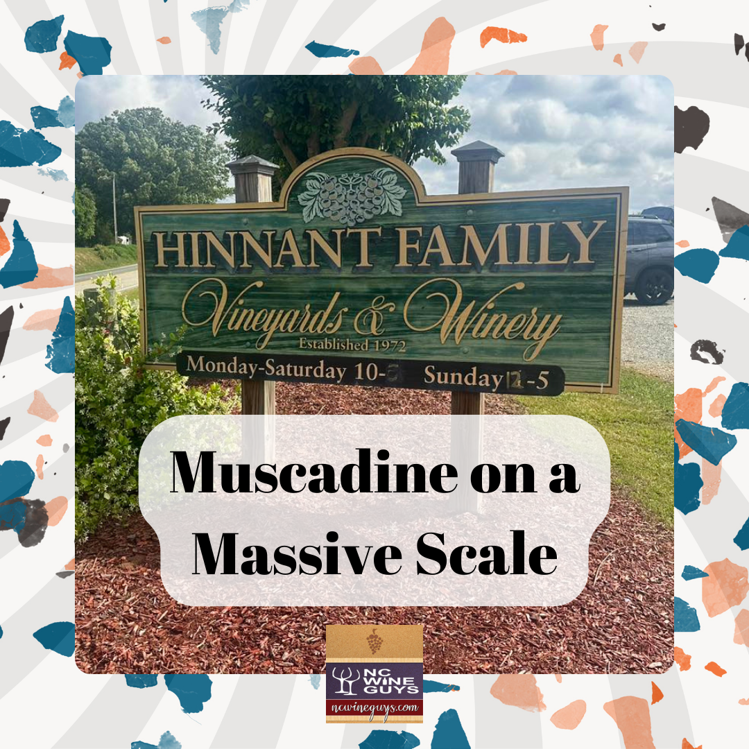 Muscadine on a Massive Scale: Hinnant Family Vineyards