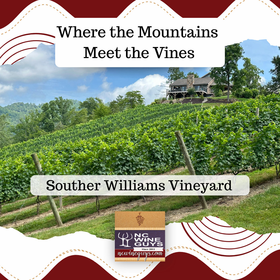 Where the Mountains Meet the Vines – Souther Williams Vineyard